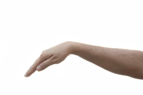 Hand on white background 写真素材