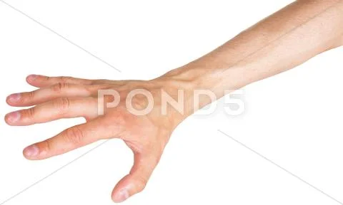 Hand on a white Stock Photos
