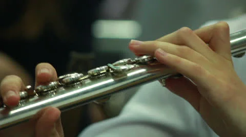 Hand wind instrument Stockbeeldmateriaal 22525718