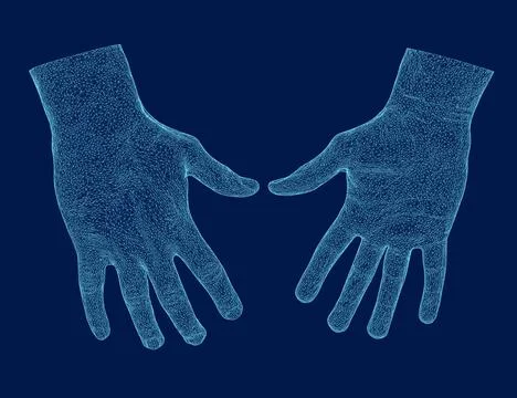 Hand wireframe Illustration, Front, back view. Vector illustration. Stock Illustration