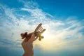 The hand with a wooden plane on the blue sky background Photo