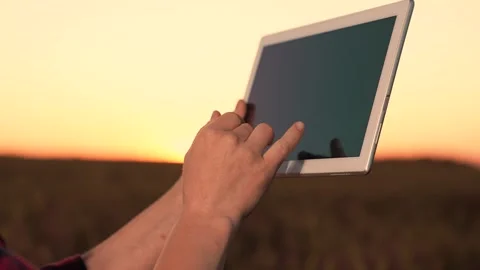 Hand work tablet close-up. farmer wheat field works digital tablet. Agriculture Stock Footage 246959231