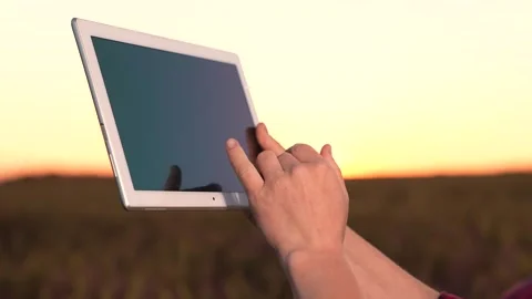 Hand work tablet close-up. farmer wheat field works digital tablet. Agriculture Stock Footage 247500838