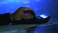 The hand working with a 3d manipulator. evening night time 4k or 4k+ Resolution