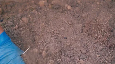 Hand working with vegetable garden soil close up in slow motion. A woman's hand Stock Footage 261795082
