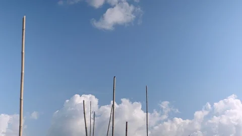 Hand-woven bamboo fish trap at river's edge on a windy day ( tilt down ) Stock Footage 93762790