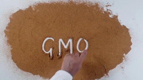 Hand writes on brown soil words GMO Stock Footage 248680276