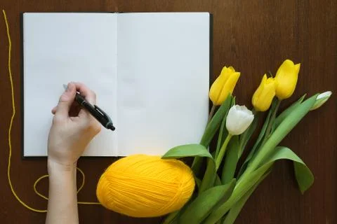 Hand writing in a book Stock Photos