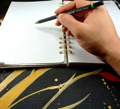 Hand writing in a book Stock Photos