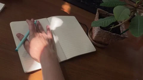 Hand writing in journal with shifting sunlight and shadows Stock Footage 336234021