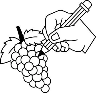 A hand is writing on a leaf of a grape 库存插图