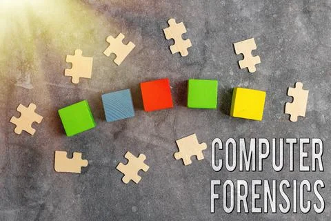 Hand writing sign Computer Forensics. Business showcase the investigative 写真素材