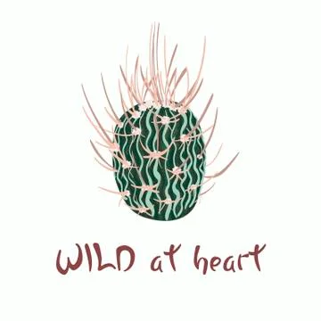 Hand written lettering Message slogan Wild at heart with cactus image Stock Illustration