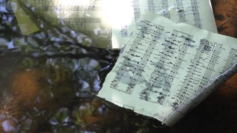 Hand-Written Musical Notation floating in water Stock Footage 239661063