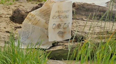 Hand-Written Paper Falls Down at the Stone Novelette by Alexander Kuprin Olesya Stock Footage 64774195
