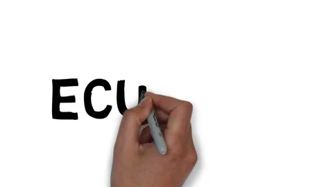Hand written white board animation country name Ecuador Stock Footage 112591216