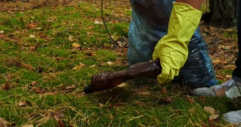 A hand in a yellow glove picks up a plastic bottle from green moss in the forest Stock Footage 253060277
