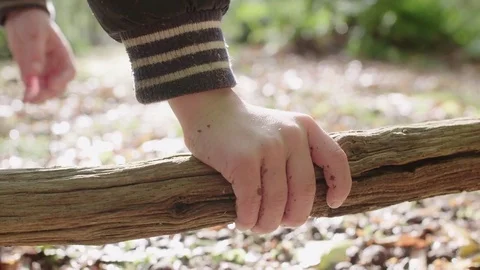 The hand of a young  child picks up an old log in the forest on a sunny day Stock Footage 85215890