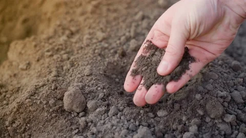 The hand of a young guy crushes the soil in the palm of his hand close-up at the Stock Footage 201181252