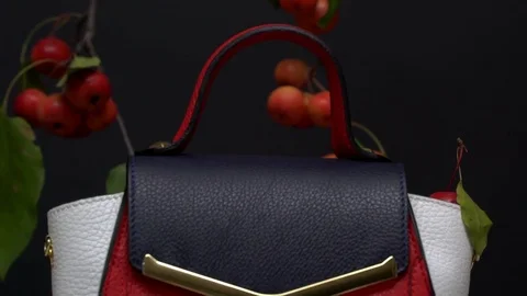 Handbag on black background. Concept for website ladies' accessories - no logo Stock Footage 72548720