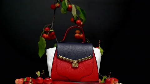 Handbag on black background Stock Footage 67812963