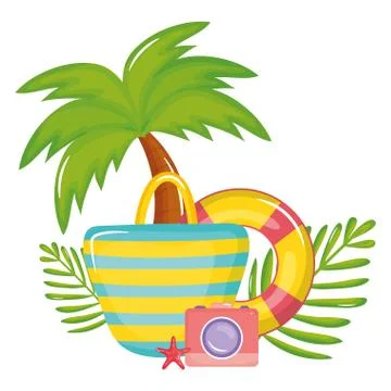 Handbag female with float and camera photographic Stock Illustration