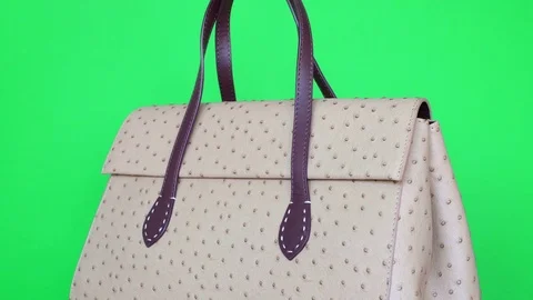 Handbag on green background. Concept for website ladies' accessories - no logo Stock Footage 72548139
