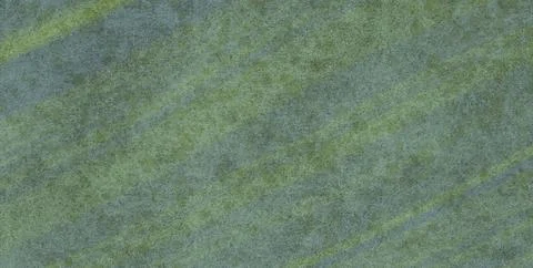 Handcrafted Surface Design with Vintage and Grunge Elements Illustrazione stock