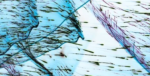 Handcrafted Surface Design with Vintage and Grunge Elements Illustrazione stock