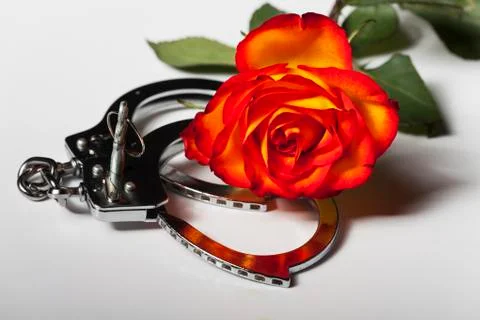 Handcuffs with a rose Stock Photos