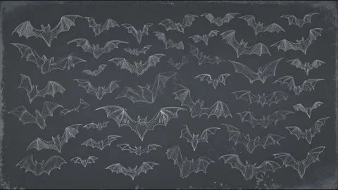 Handdrawn bats swarm on dark background  mysterious flying creatures animatio Stock Footage 314459255