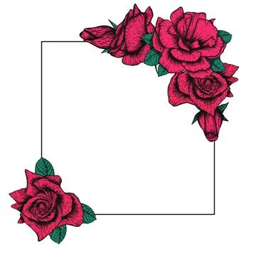 Handdrawn etching roses ribbons and flowers for greeting card design. Vector Stock Illustration