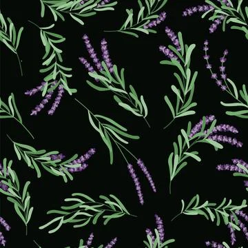 Handdrawn lavender bouquet seamless pattern. Provence herbal repeat botanical 스톡 일러스트