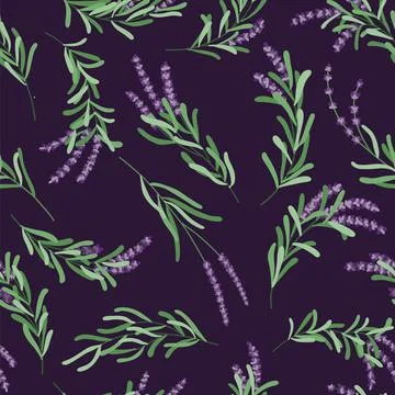 Handdrawn lavender bouquet seamless pattern. Provence herbal repeat botanical Illustrazione stock