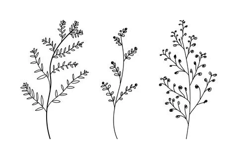 Handdrawn natural lined leaf design, abstract botnical desing, floral element Ilustración de archivo