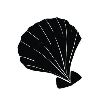 Handdrawn Seashell Stock Illustration