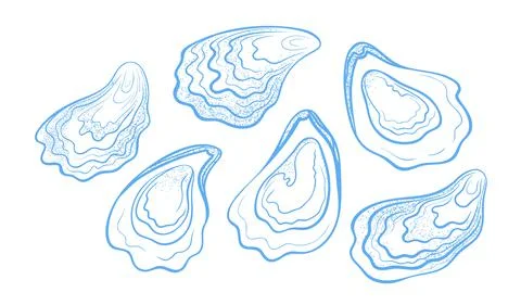 Handdrawn textured oysters set. Vector illustration isolated on a white. Stock Illustration
