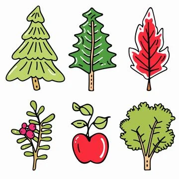Handdrawn trees plants illustration featuring pine, fir, red leaf tree, berry Stock Illustration