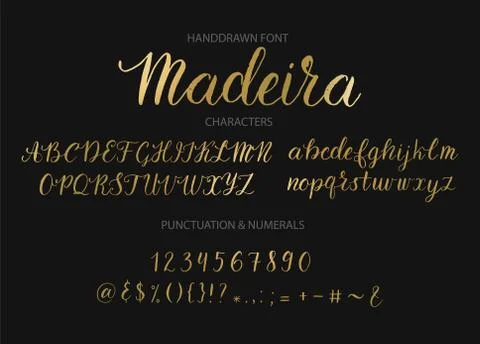 Handdrawn Vector Script font. Brush style textured calligraphy cursive typeface. Illustrazione stock
