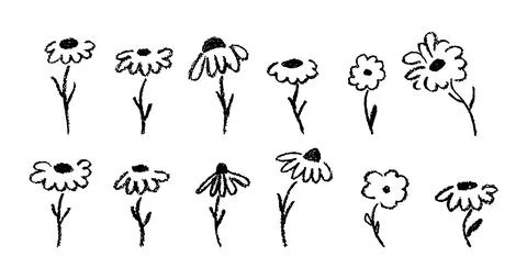 Handdrawn vector set of chamomile and chrysanthemum flowers with small petals Stock Illustration