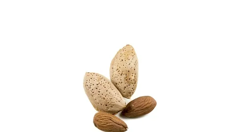 Handful of almonds can be smoothly motion. Stock Footage 128713509