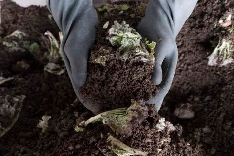 Handful of arable soil in hands of responsible farmer Stock Photos