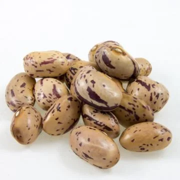 A handful of beans Stock Photos