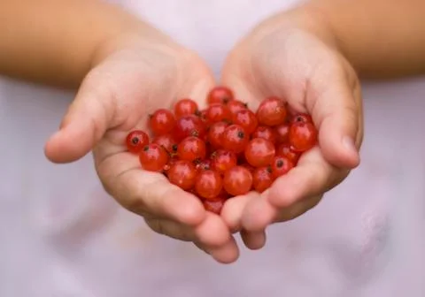 Handful of berries Stock Photos