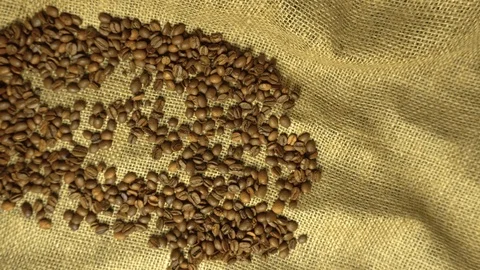 A handful of brown, roasted coffee beans on burlap sacking background, macro Stock Footage 103676713