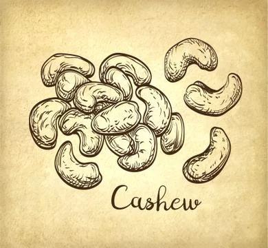Handful of cashews. Stock Illustration