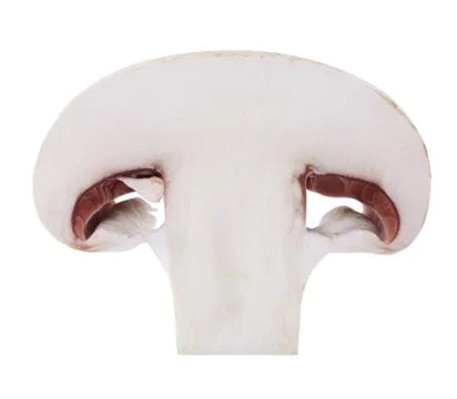 Handful of champignons Stock Photos