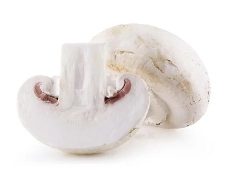 Handful of champignons Stock Photos