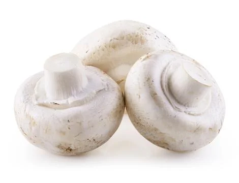 Handful of champignons Stock Photos