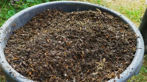 Handful of compost Stock Footage 127249988